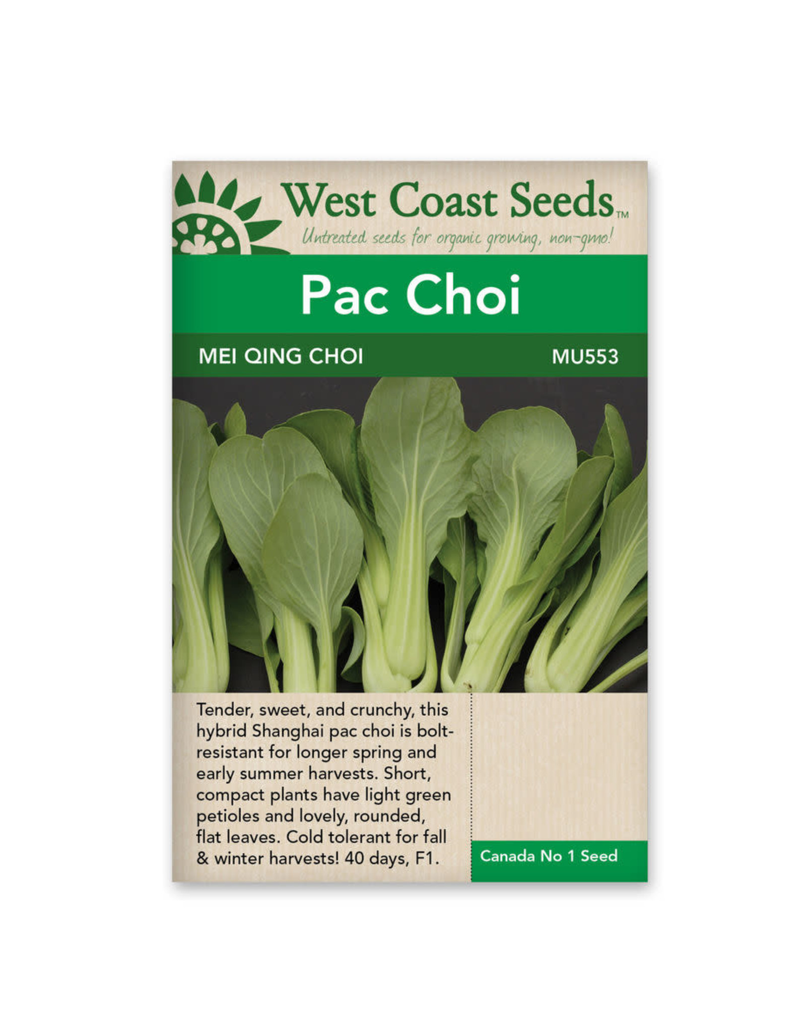 West Coast Seeds Pac Choi - Mei Qing Choi F1