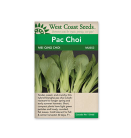 West Coast Seeds Pac Choi - Mei Qing Choi F1