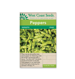 West Coast Seeds Shishito pepper F1