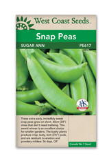 West Coast Seeds Snap Peas - Sugar Ann
