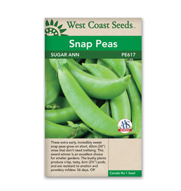 West Coast Seeds Snap Peas - Sugar Ann