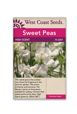 West Coast Seeds Sweet Peas - High Scent