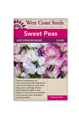 West Coast Seeds Late Spencer Blend