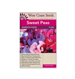 West Coast Seeds Sweet Peas - Mammoth Blend