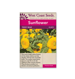 Sunflowers - Teddy Bear