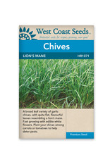 West Coast Seeds Lions Mane Broad Leaved