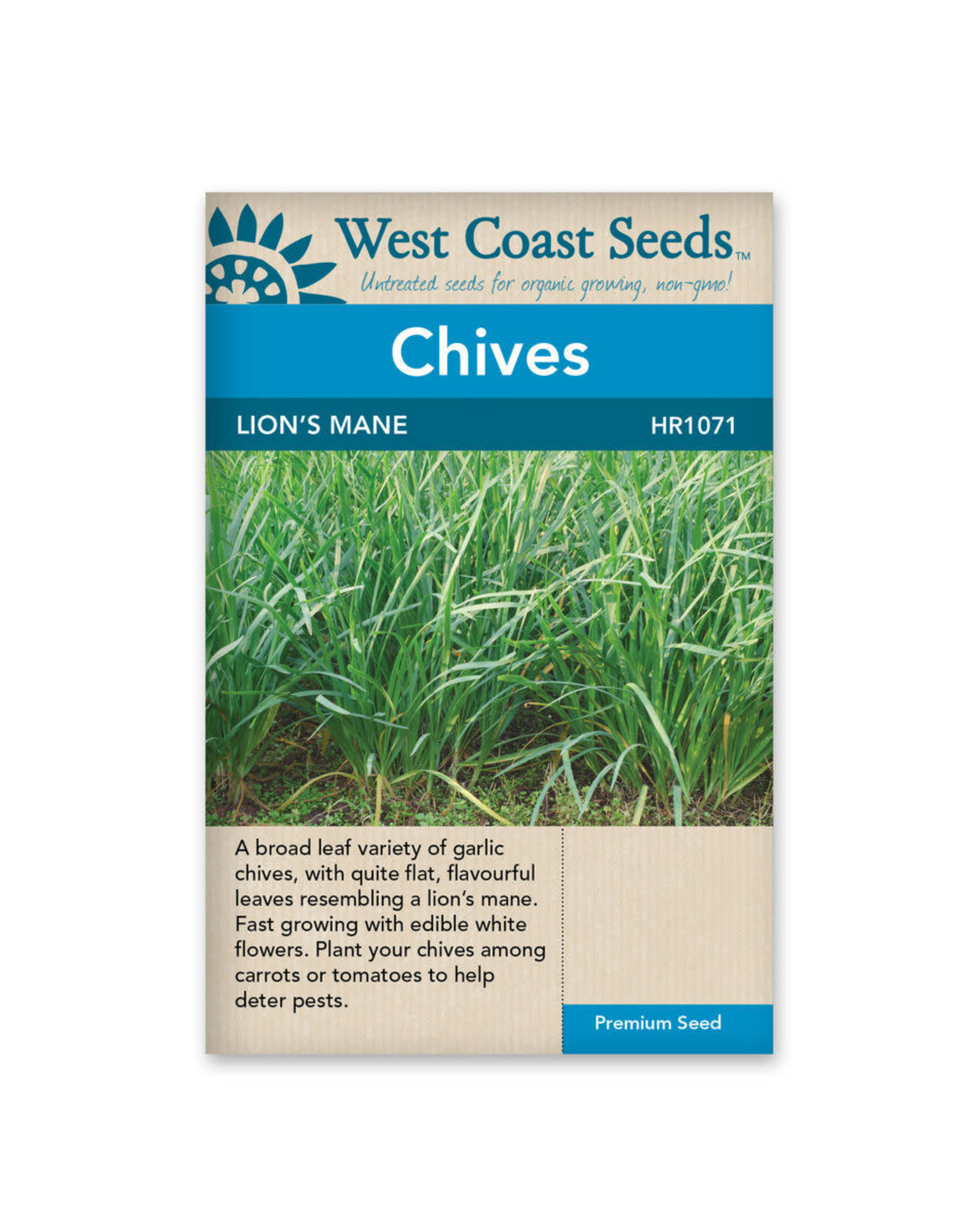 West Coast Seeds Lions Mane Broad Leaved
