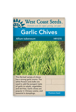 West Coast Seeds Chives - Garlic Chives