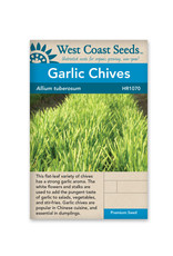 West Coast Seeds Garlic Chives
