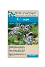 West Coast Seeds Borage - Borage