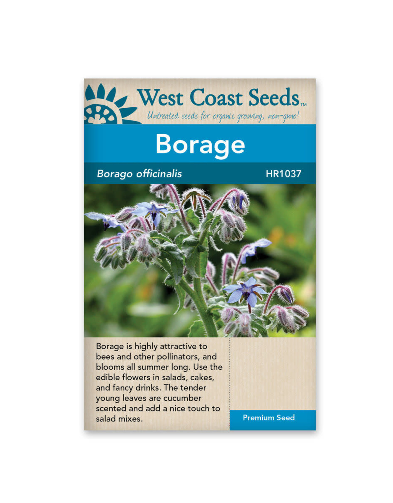 West Coast Seeds Borage - Borage