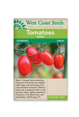West Coast Seeds Tomatoes - Supremo F1