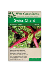 West Coast Seeds Swiss Chard - Magenta Sunset