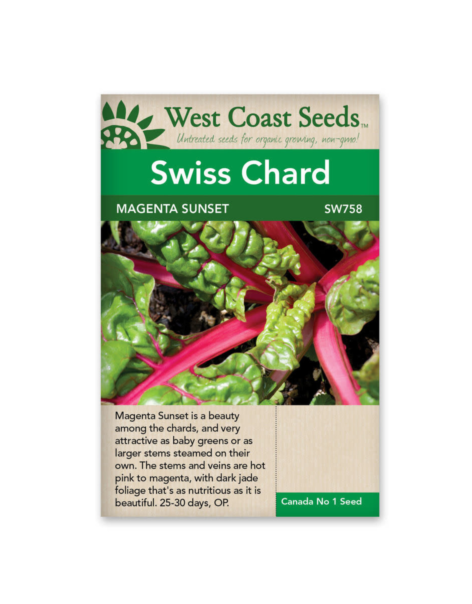 West Coast Seeds Swiss Chard - Magenta Sunset