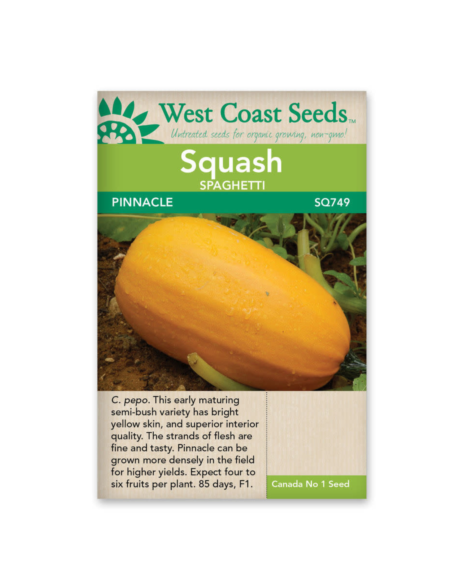 West Coast Seeds Squash-Winter - Pinnacle F1
