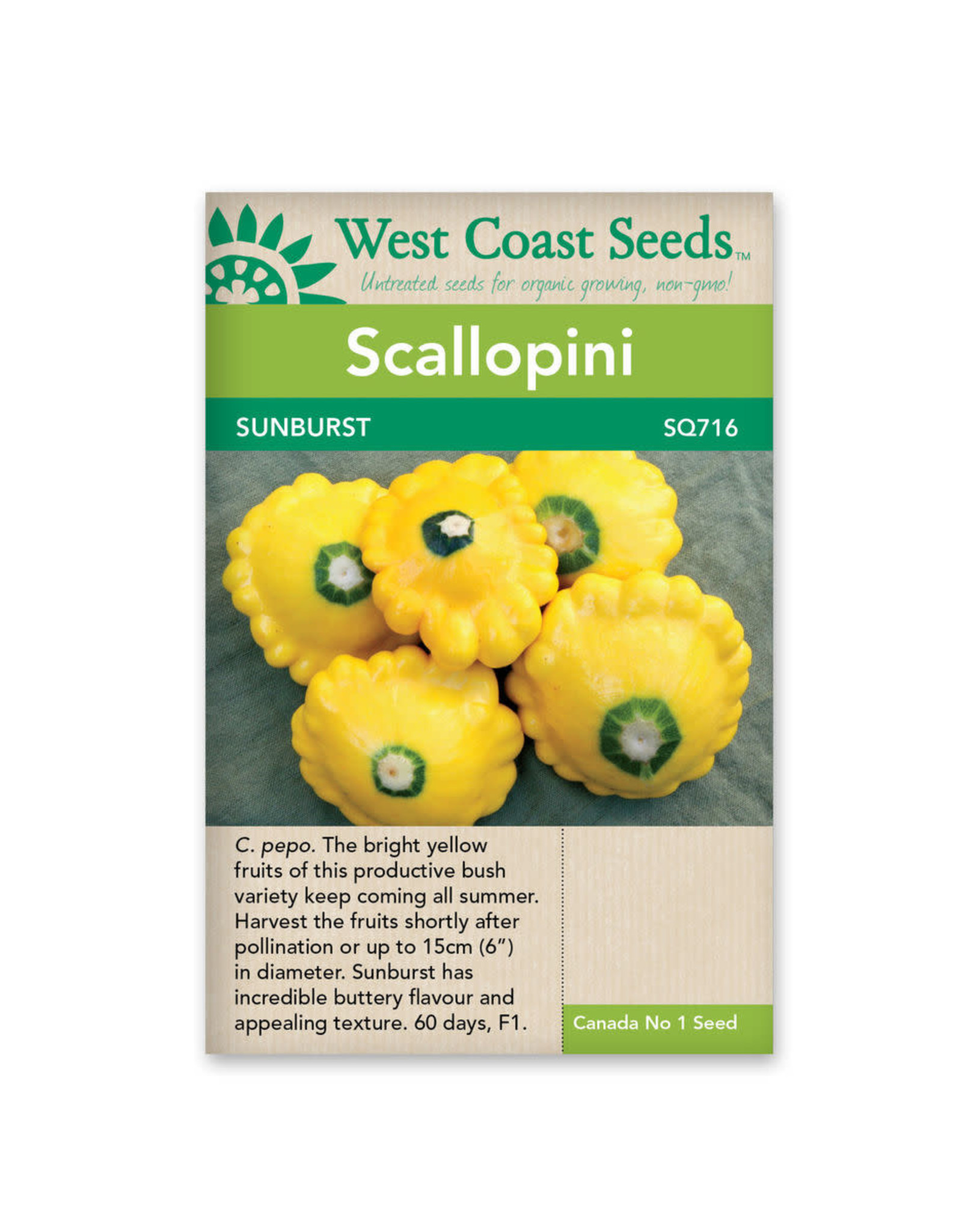 West Coast Seeds Scallopini - Sunburst F1