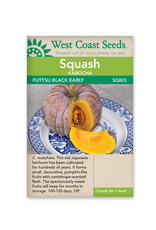 West Coast Seeds Squash-Winter - Black Futsu