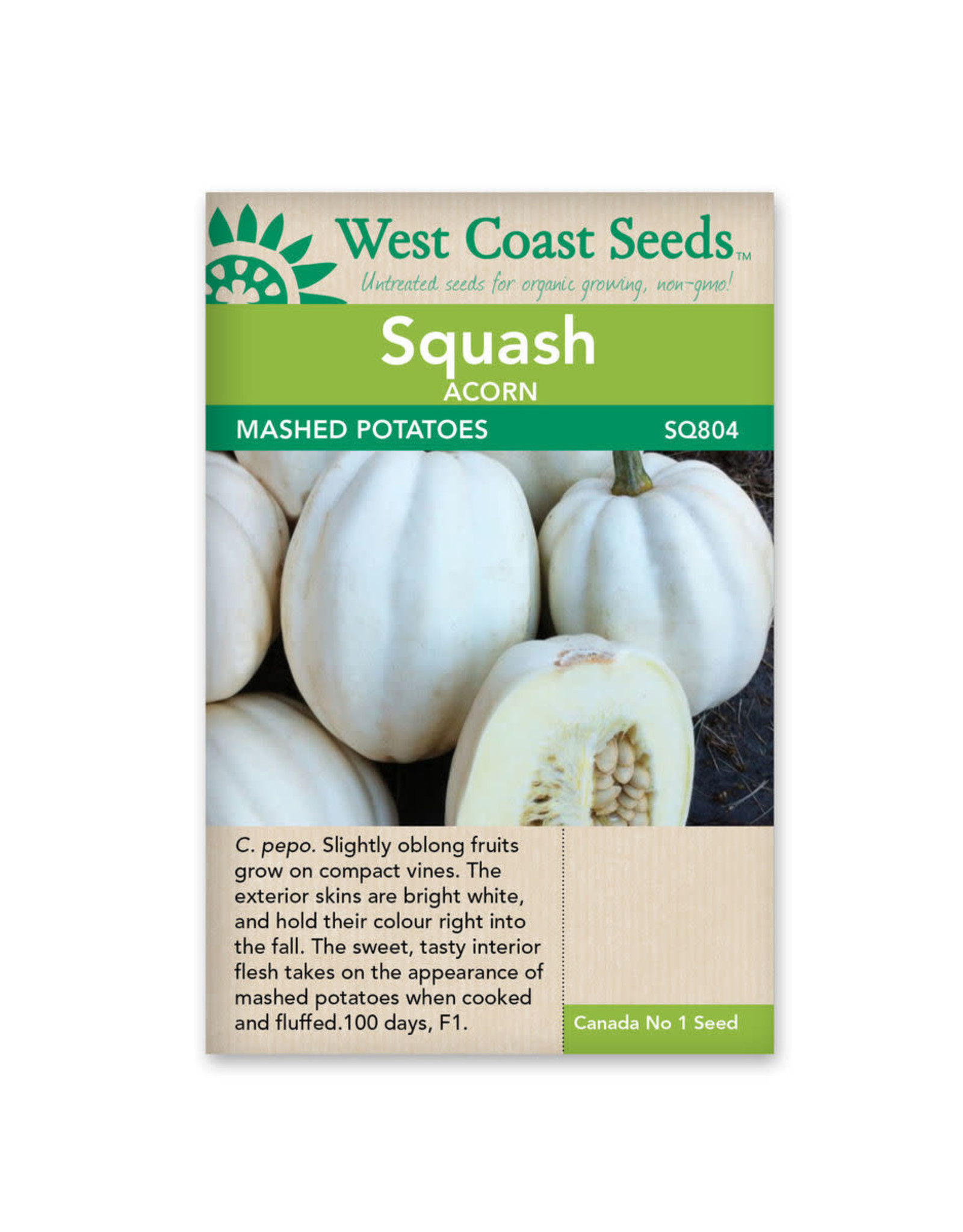 West Coast Seeds Acorn Squash - Mashed Potatoes F1 (10 Seeds)