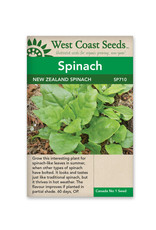 West Coast Seeds Spinach - New Zealand Spinach