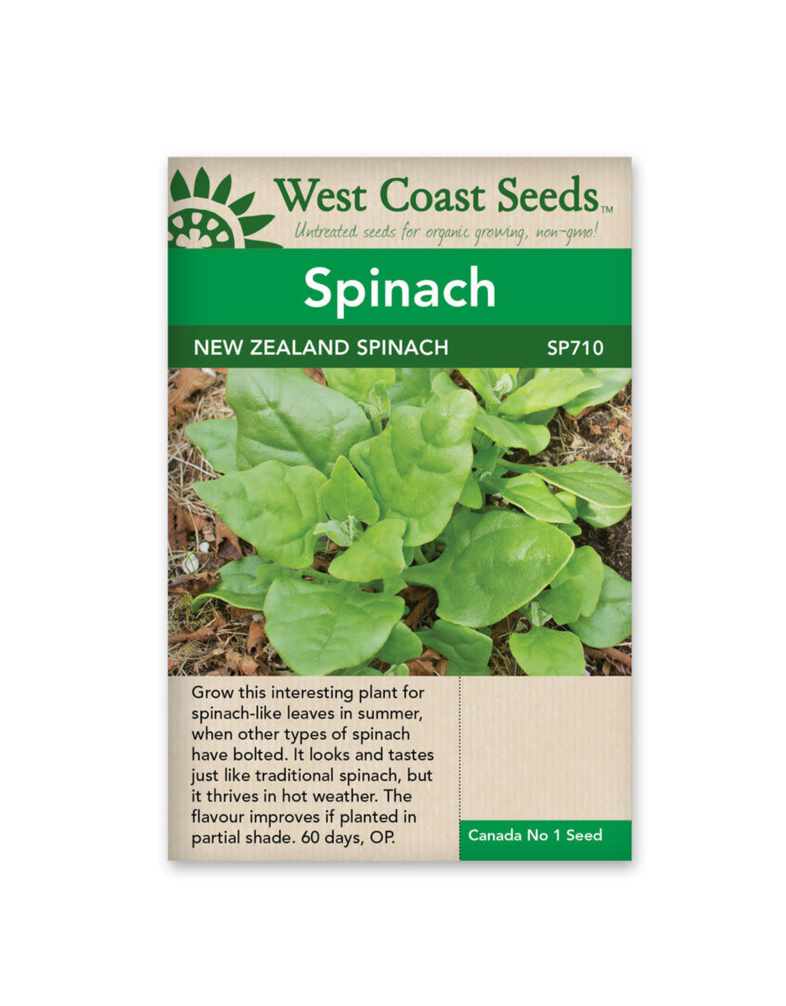 West Coast Seeds Spinach - New Zealand Spinach