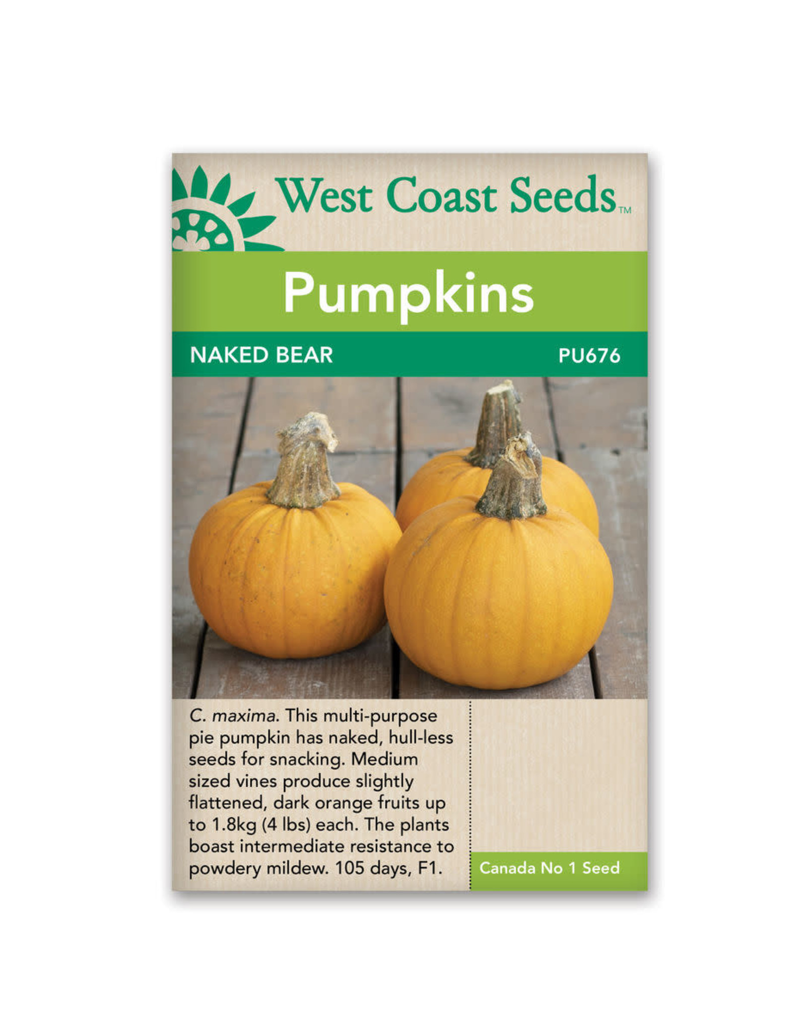 West Coast Seeds Pumpkins - Naked Bear F1