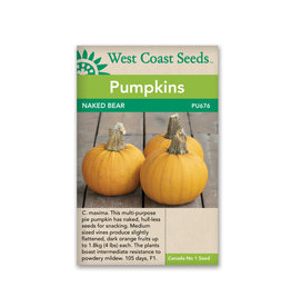 West Coast Seeds Pumpkins - Naked Bear F1