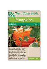 West Coast Seeds Pumpkins - Big Max