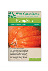 West Coast Seeds Pumpkins - Dill’s Atlantic Giant