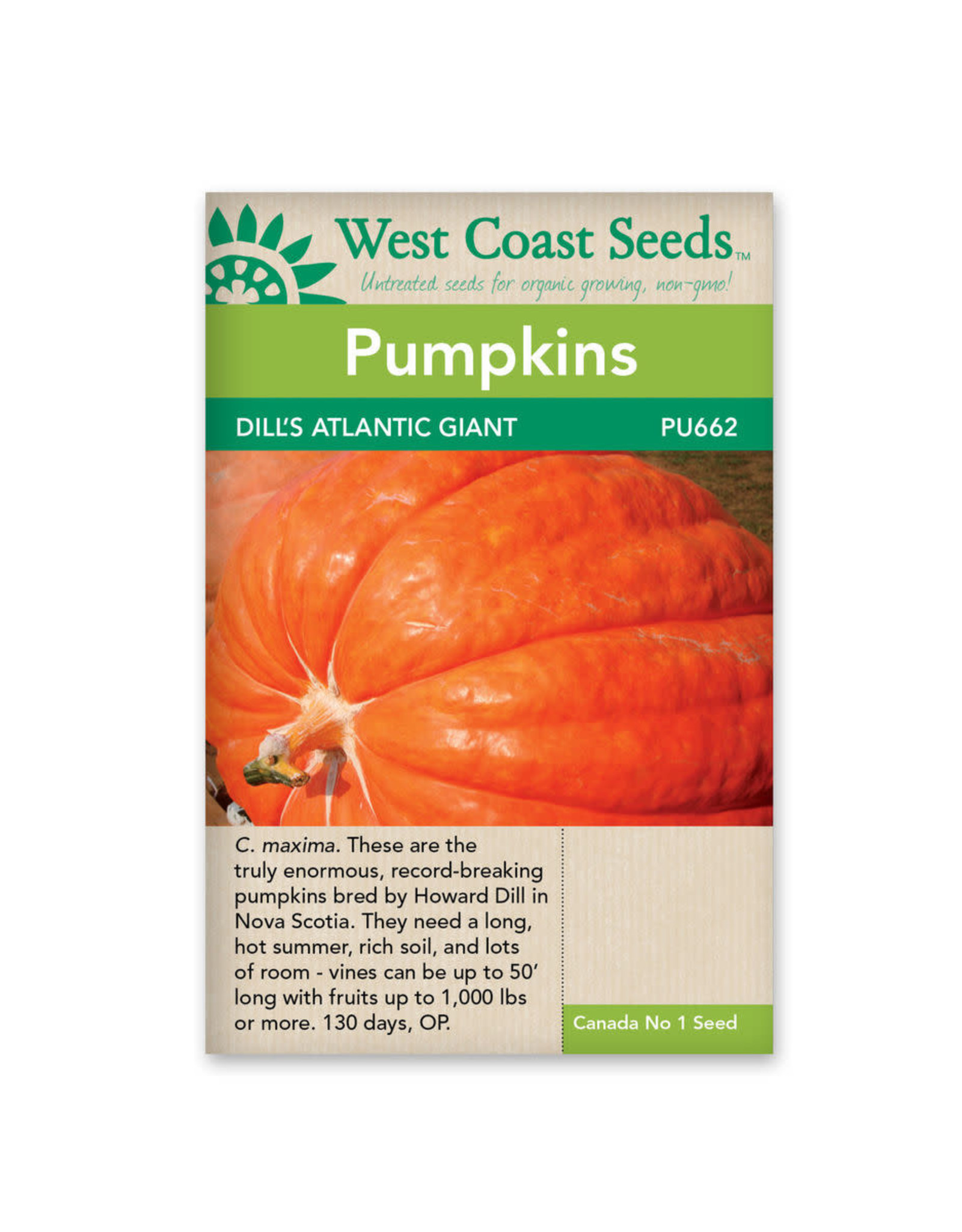 West Coast Seeds Pumpkins - Dill’s Atlantic Giant