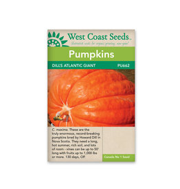 West Coast Seeds Pumpkins - Dill’s Atlantic Giant