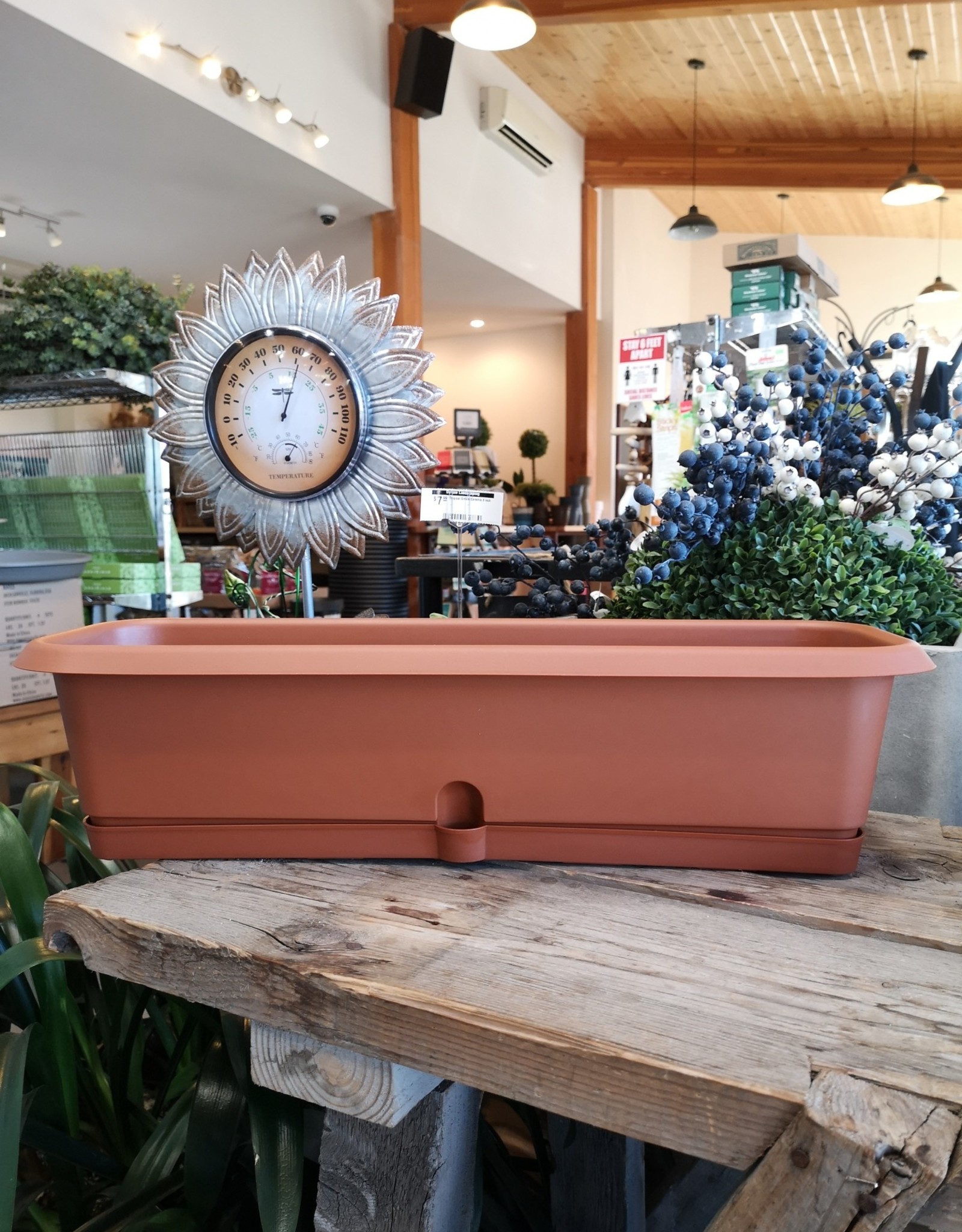 Flora Window Box 60cm Terracotta