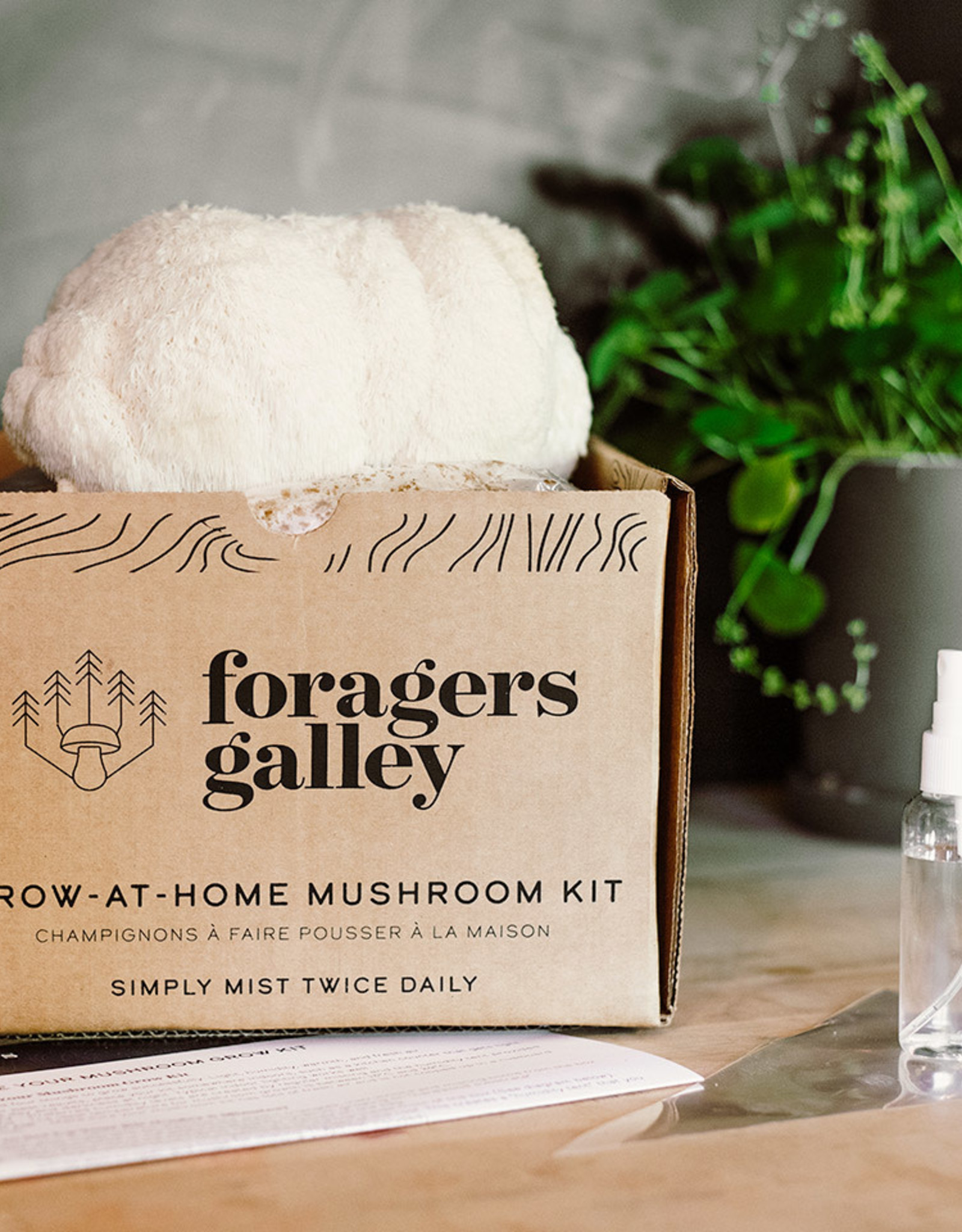 Mushroom Growing- Lions Mane Grow Kit