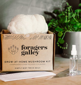 Mushroom Growing- Lions Mane Grow Kit