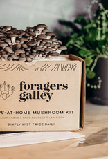 Mushroom Growing- Blue Oyster Grow Kit