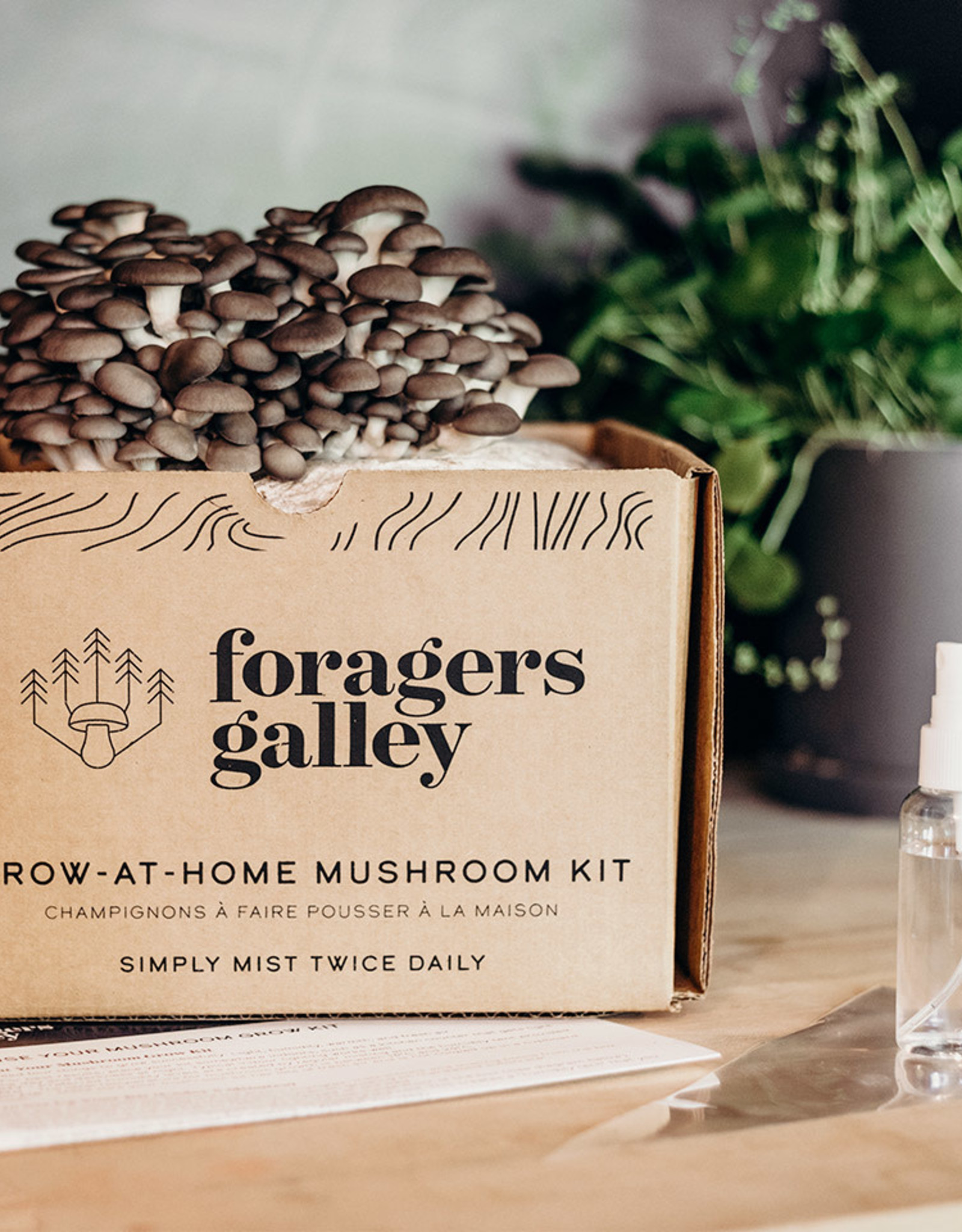 Mushroom Growing- Blue Oyster Grow Kit