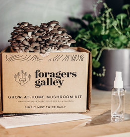 Mushroom Growing- Blue Oyster Grow Kit
