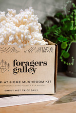 Mushroom Growing- Bear's Head Tooth Grow Kit