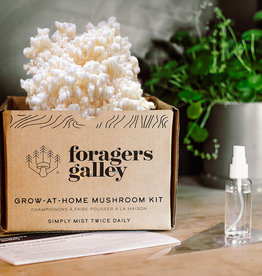 Mushroom Growing- Bear's Head Tooth Grow Kit