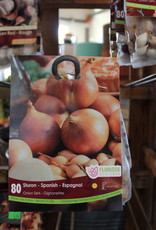Onion Spanish Sturon - Package of 80