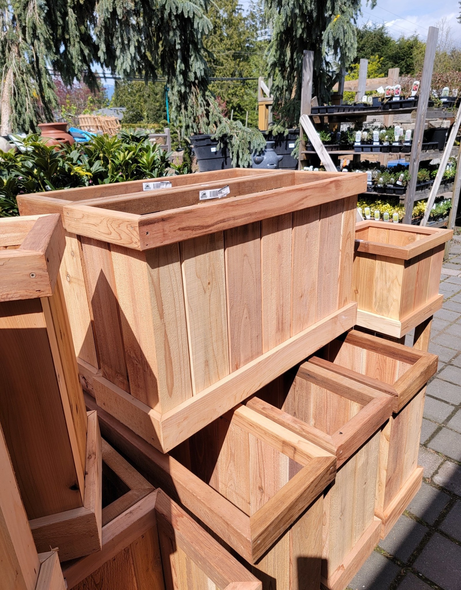 Deep Cedar Boxes 36 x 12 x 23