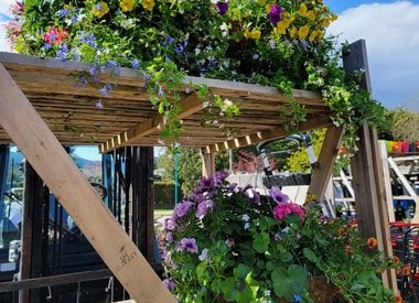 Hanging Basket 