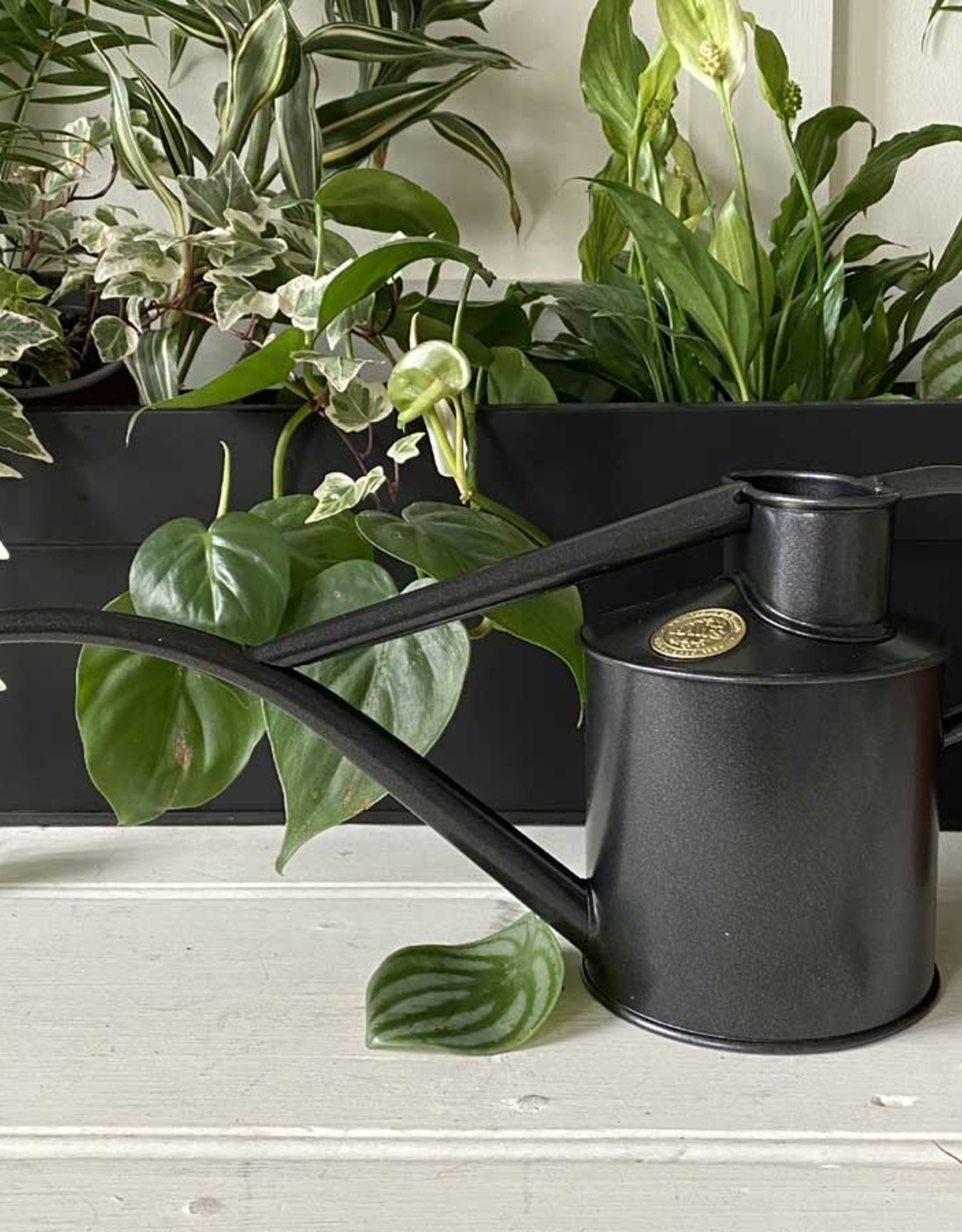 Haws Fazeley Flow 2 pint Watering Can