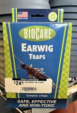 Earwig/Bug Trap (3 pack)