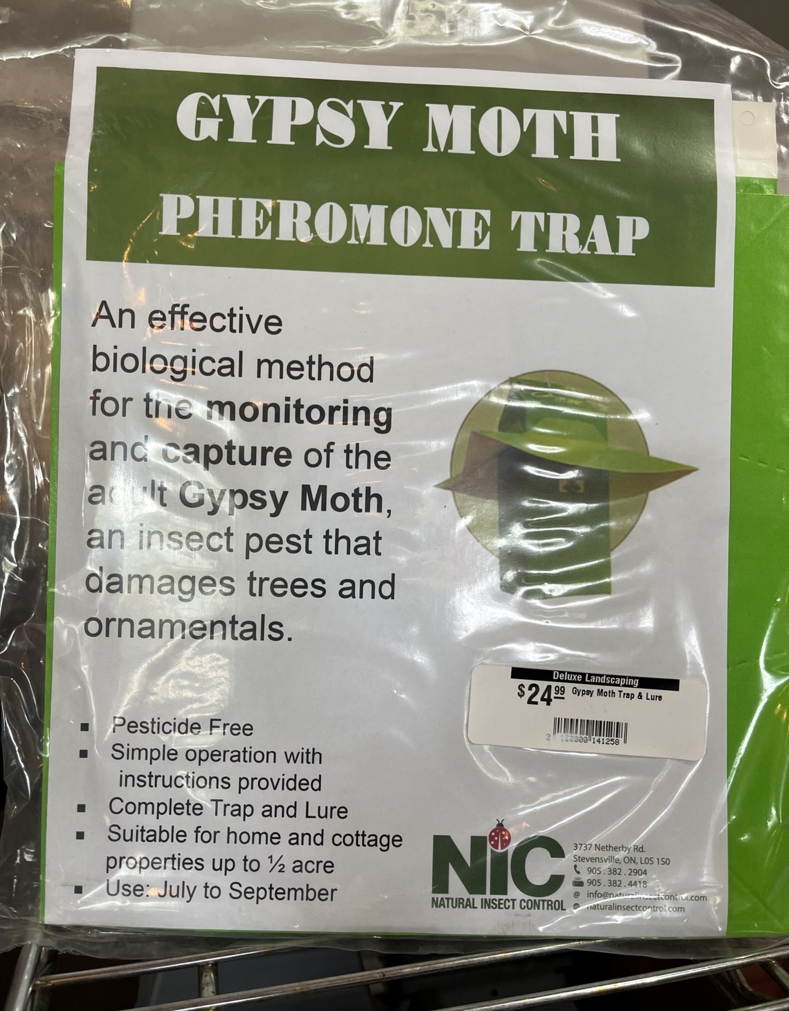 Gypsy Moth Trap & Lure