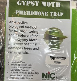 Gypsy Moth Trap & Lure