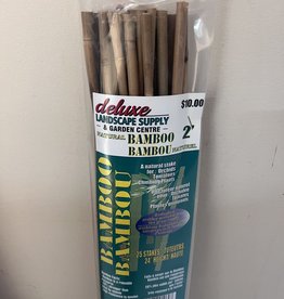 Bamboo Stake 2 Foot - Pack of 25
