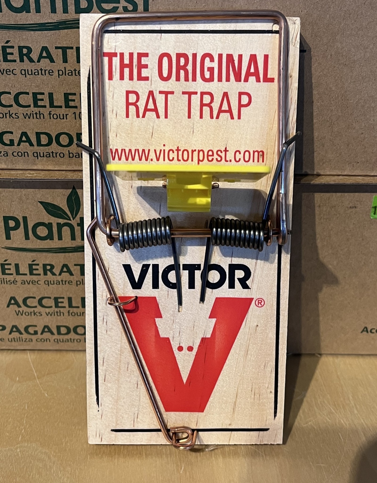 Pro Rat Trap
