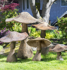 Garden Mushroom