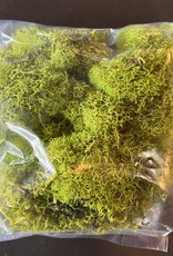 Reindeer Moss Small Bag