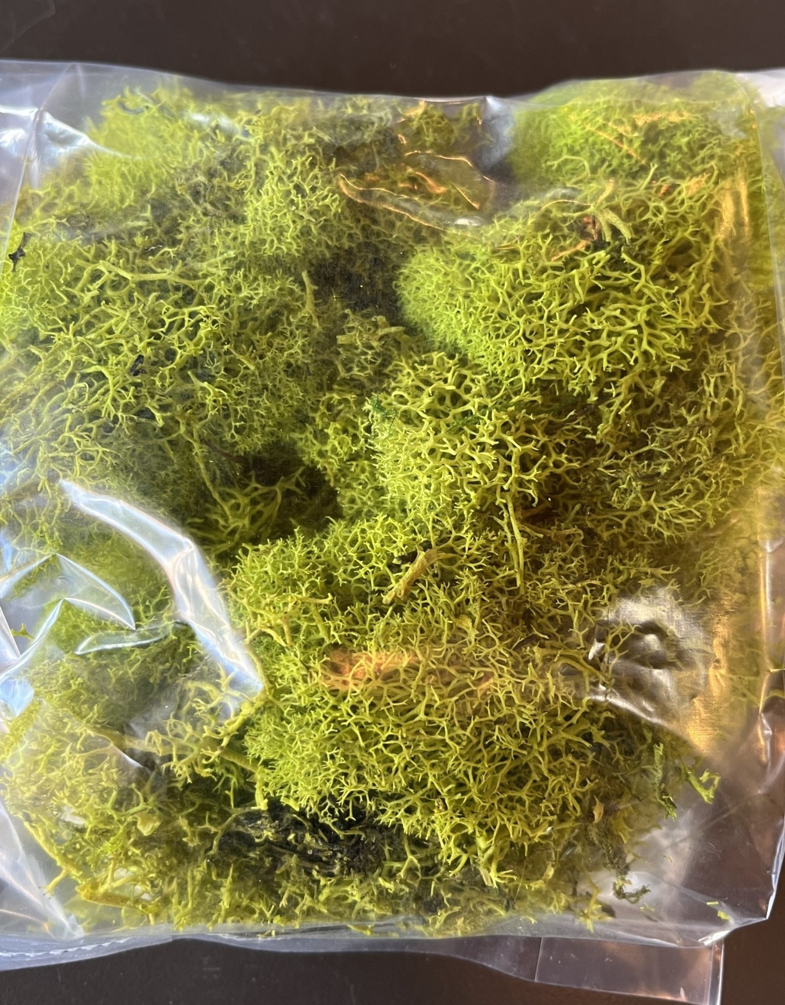 Reindeer Moss Small Bag